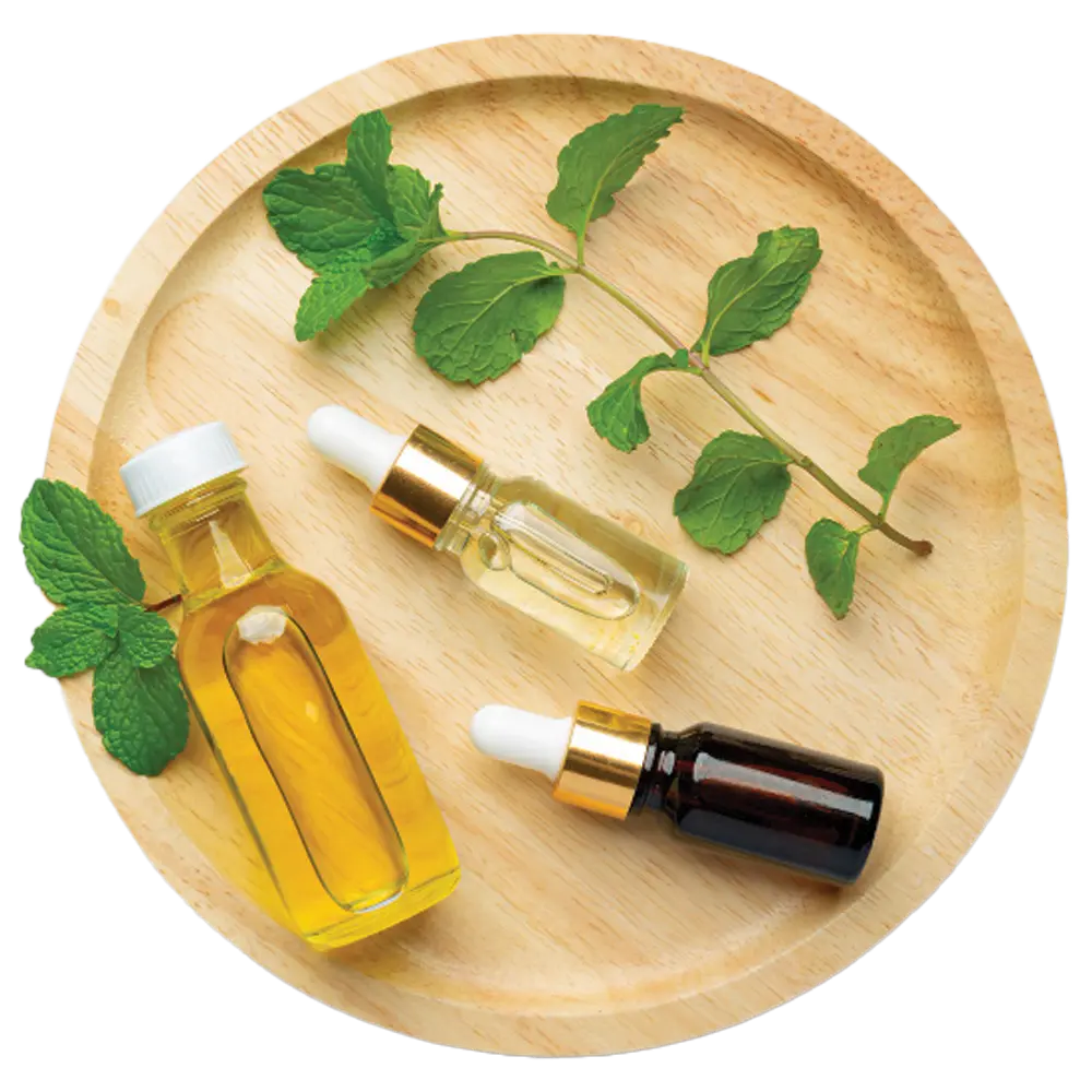 دارو گیاهی هوشمند فناوران سلامت گستر چابک